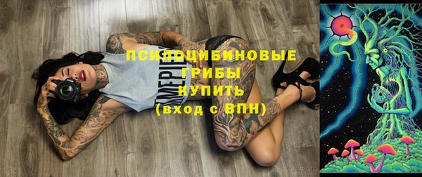 хмурый Надым
