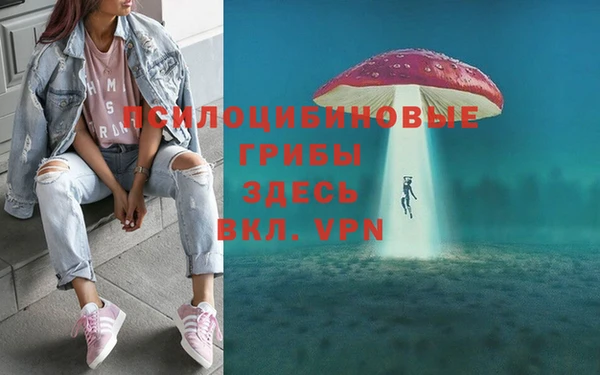 мескалин Лихославль