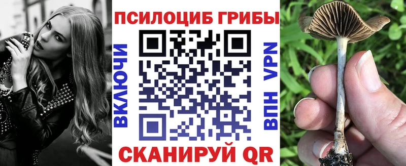 Галлюциногенные грибы GOLDEN TEACHER  закладки  Кашира 